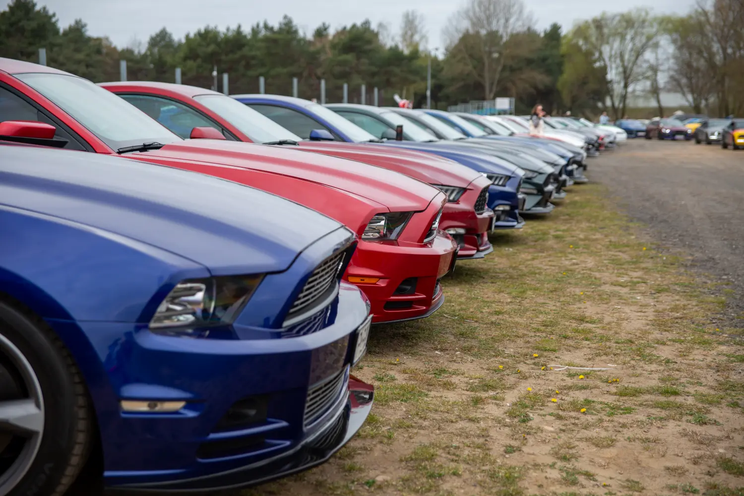 XVII Ogólnopolski Zlot Mustangów w scenerii Toru Poznań / © Ford Polska